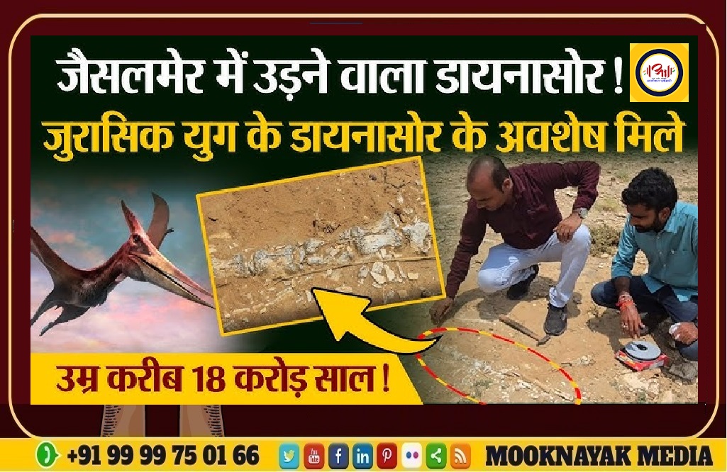 जैसलमेर में मेघा गांव में जुरासिक काल के उड़ने वाले डायनासोर के जीवाश्म मिले
